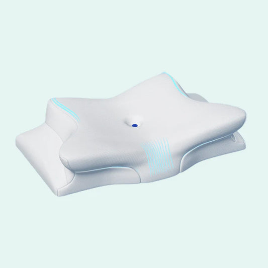 Butterfly Pillow